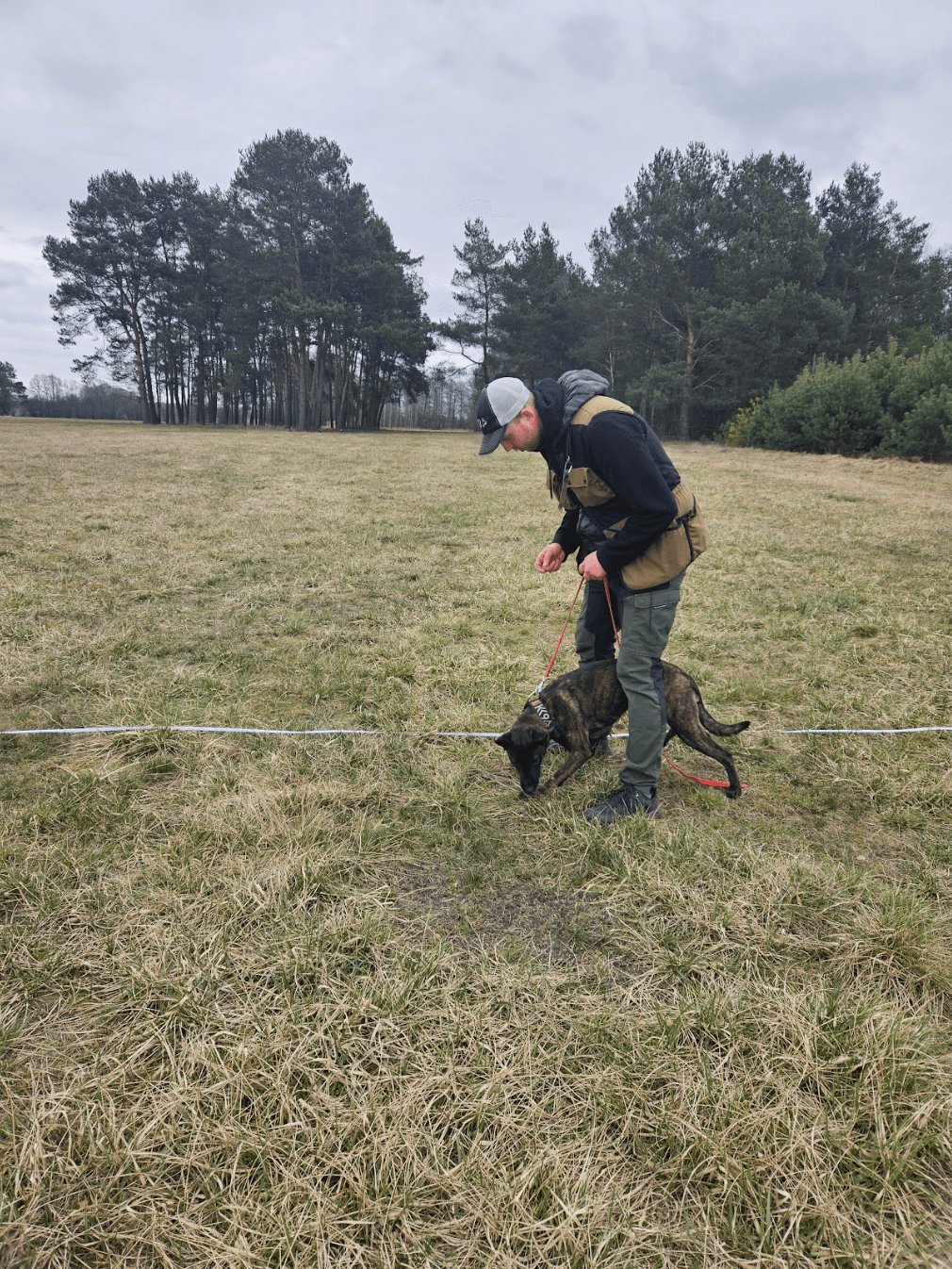 Praca z psami z problemami